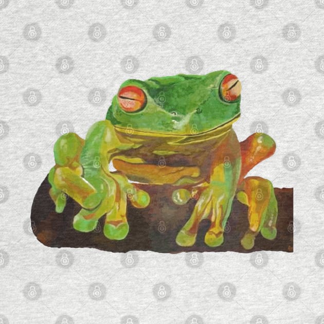 Cute Red Eyed Tropical Tree Frog Cut Out by taiche